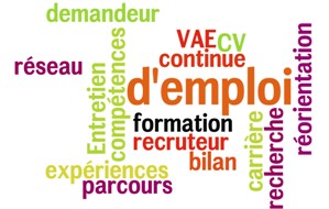 IJE - Insertion professionnelle IJE - Insertion professionnelle