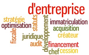 IJE - Développement entrepreneurial IJE - Développement entrepreneurial